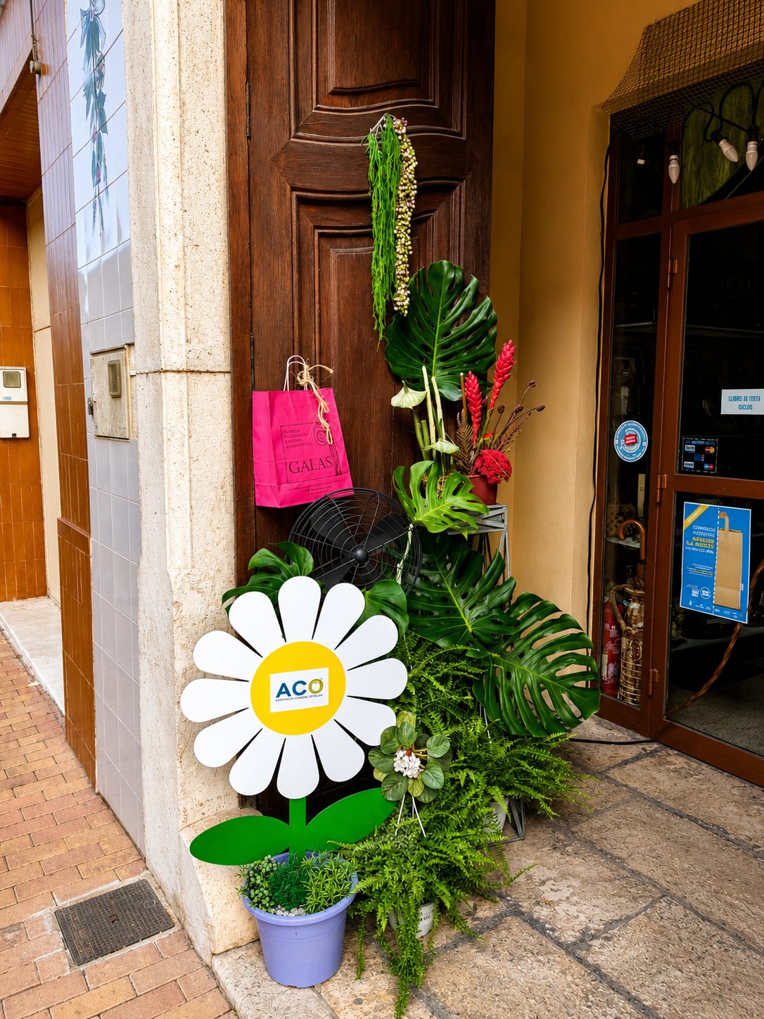 Jardí decoratiu amb plantes a l'entrada d'un comerç