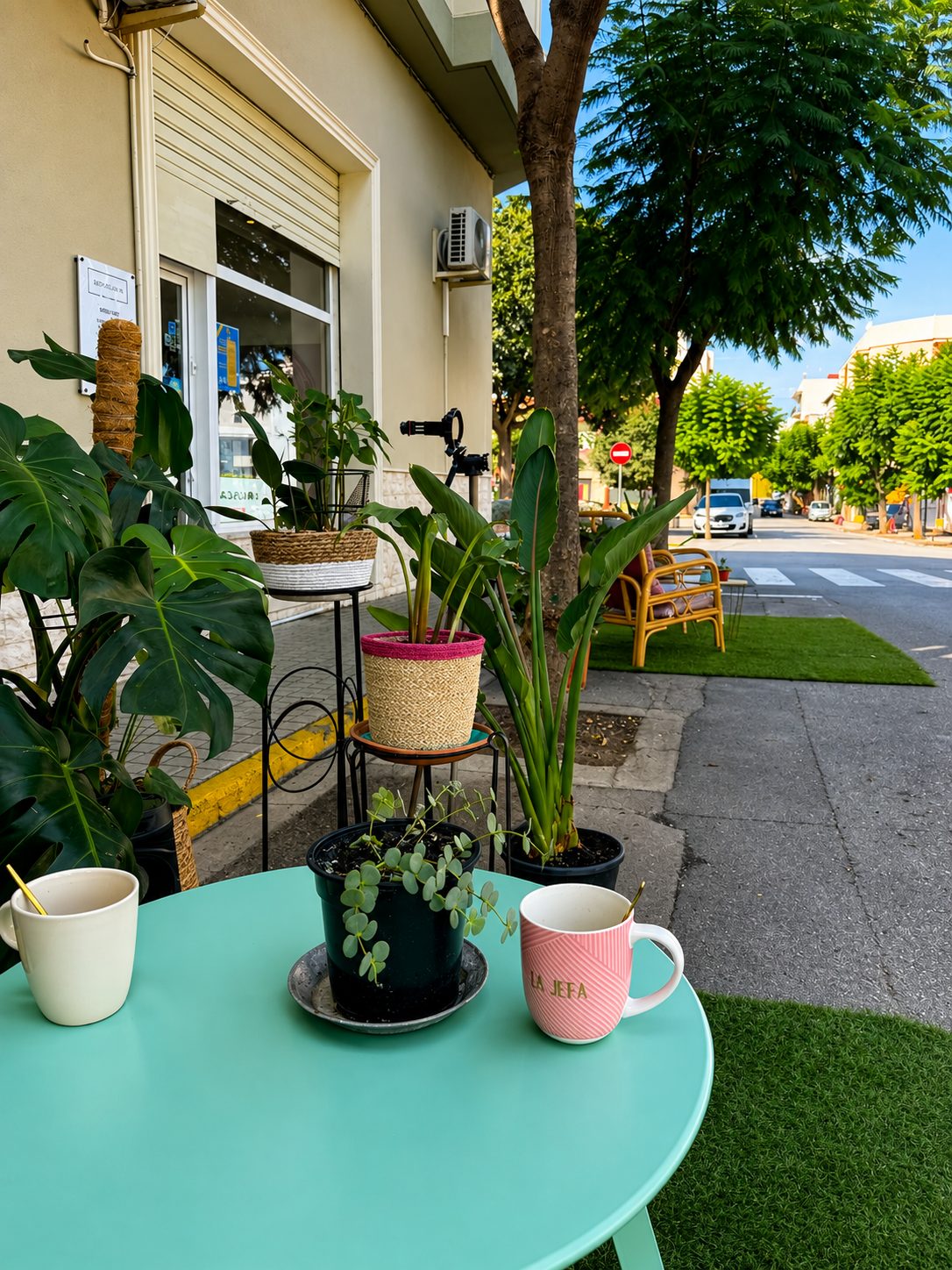 Taula i plantes en un PARK(ing) urbà